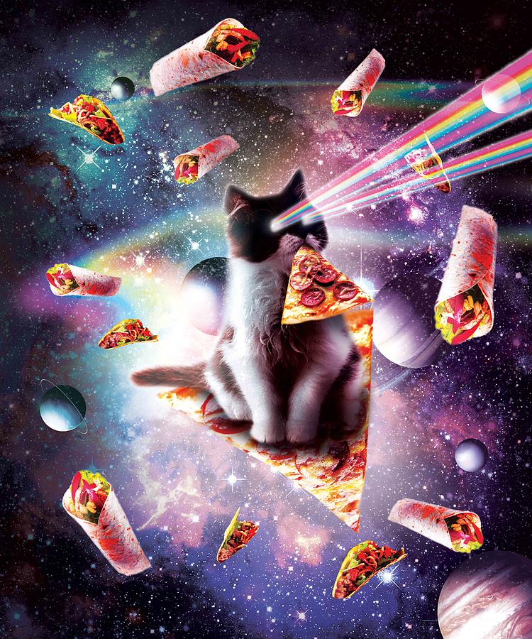 outer space pizza cat